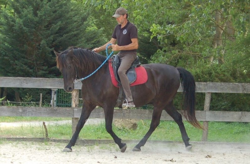 Foto de Agustí Llauro de @equietoagusti
